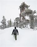 Man walking in snow in Fulufjallet National Park, Sweden