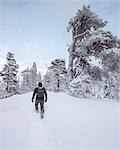 Rear view of man walking in snow in Fulufjallet National Park, Sweden