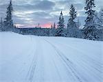 Rural road during winter in Fulufjallet National Park, Sweden