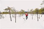 Mature man skiing in forest