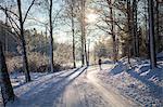 Snow on a rural road