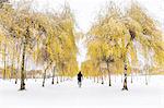 A person walking in The Woodland Cemetery in Sweden