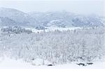 Snowy ground in Norway