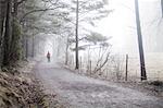 A dirt road in Sweden