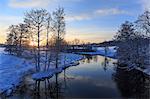 Bare trees by river during winter in Sweden