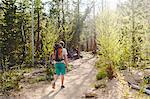 Young man hiking in forest