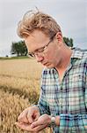 Mid adult man holding wheat grain