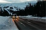 Car on a road by trees during winter