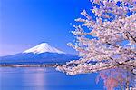 Beautiful view of Mount Fuji