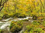 Aomori Prefecture, Japan