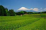 Beautiful view of Mount Fuji