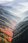 Nara Prefecture, Japan