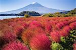 Beautiful view of Mount Fuji