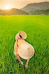 Farmer wearing a conical hat in rice fields, Mai Chau, Hoa Binh, Vietnam, Indochina, Southeast Asia, Asia