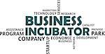 A word cloud of business incubator related items