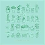 Icon flat set plants in pots drawing with menthol on turquoise background