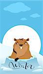 Groundhog Day. Marmot makes forecast winter. Vector cartoon illustration