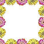 Seamless pattern with daisies flower on white background. Vector set of blooming floral for wedding invitations and greeting card design. Can be used as a flower frame