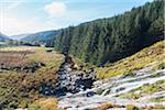 Scenic view from a waterfall in the Wicklow Mountains National Park in the morning in autumn in Leinster Province of Ireland. The water of this river is traditionally used to brew local beer and distill Irish whiskey.