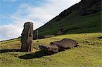 Rano Raraku moai statues, standing and fallen on Easter Island