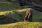Detail of Rano Raraku moai statue on Easter Island