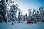 Man standing beside tent in snow covered forest, Russia
