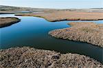 The open spaces of marshland and water channels. Flat calm water.