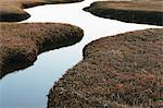 The open spaces of marshland and water channels. Flat calm water.