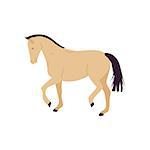 Cartoon horse vector illustration. Flat style isolated pony.