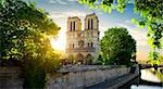 Notre Dame on Seine at summer sunset in Paris, France