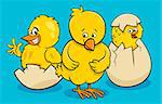 Cartoon Illustration of Little Chickens Characters Hatching from Eggs