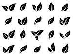 set of black leaves icons on white background