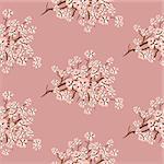 Cherry blossom seamless vector pattern. Pink flortal branches background.