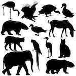 Silhouette elephant bear eagle trot duck zebra parrot on a white background.