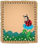 Parchment with ladybug on flower - eps10 vector illustration.