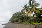 Black volcanic sand on six mile beach near Limbe, southern Cameroon, Africa