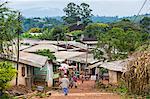 View over the village of Bafut, Cameroon, Africa