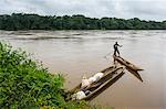 Sangha River, bordering Central African Republic, deep in the jungle of Cameroon, Africa