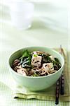 Soba noodles with tofu, spinach, sesame seeds and green onions in a green bowl with chopsticks