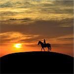 Horseback woman rider at sunset