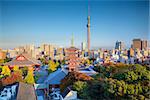 Cityscape image of Tokyo skyline during autumn sunset in Japan.