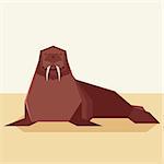 Vector image of the Flat design Walrus