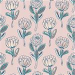 Protea flower seamless vector pattern. Hand drawn dust pink floral background.