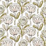 Hand drawn protea flower seamless vector pattern. Artistic floral nature green background.