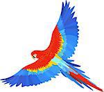 Ara macaw parrot spread wings vector on white background