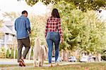 Rear View Of Couple Walking Dog Along Suburban Street