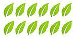 Eco design element. Set of 2 leaves in different variations
