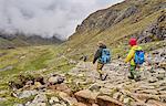 Mother and sons, trekking through landscape, Ventilla, La Paz, Bolivia, South America