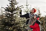 Young couple choosing a christmas tree from forest