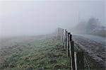 Fence along roadside in rural setting, with mist, Houghton-le-Spring, Sunderland, UK